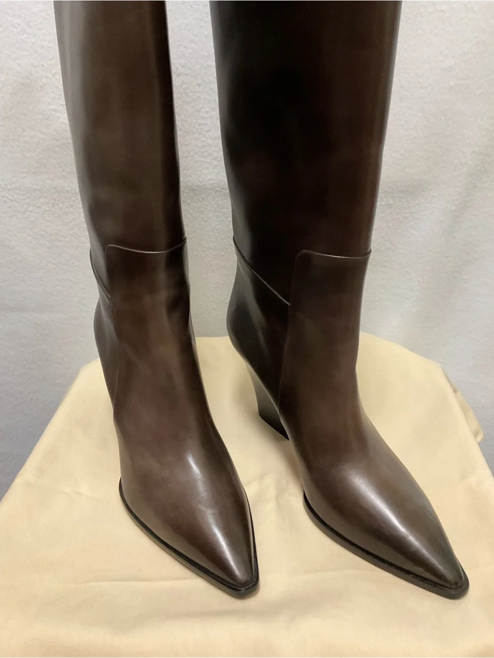 Santoni Tall Pointed-Toe Over-the-Knee Leather Boots in Dark Brown